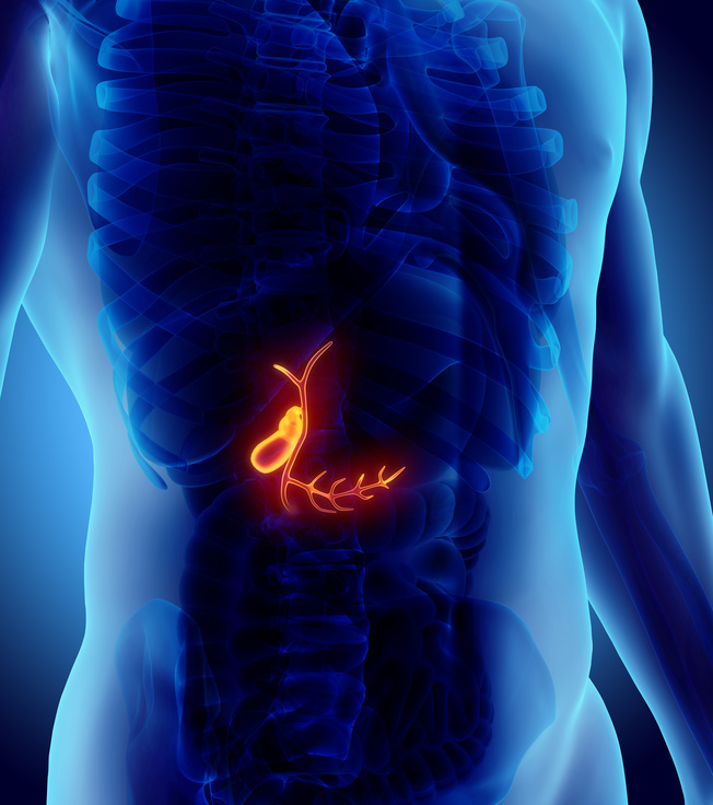 3D illustration of male Gallbladder, x-ray medical concept.